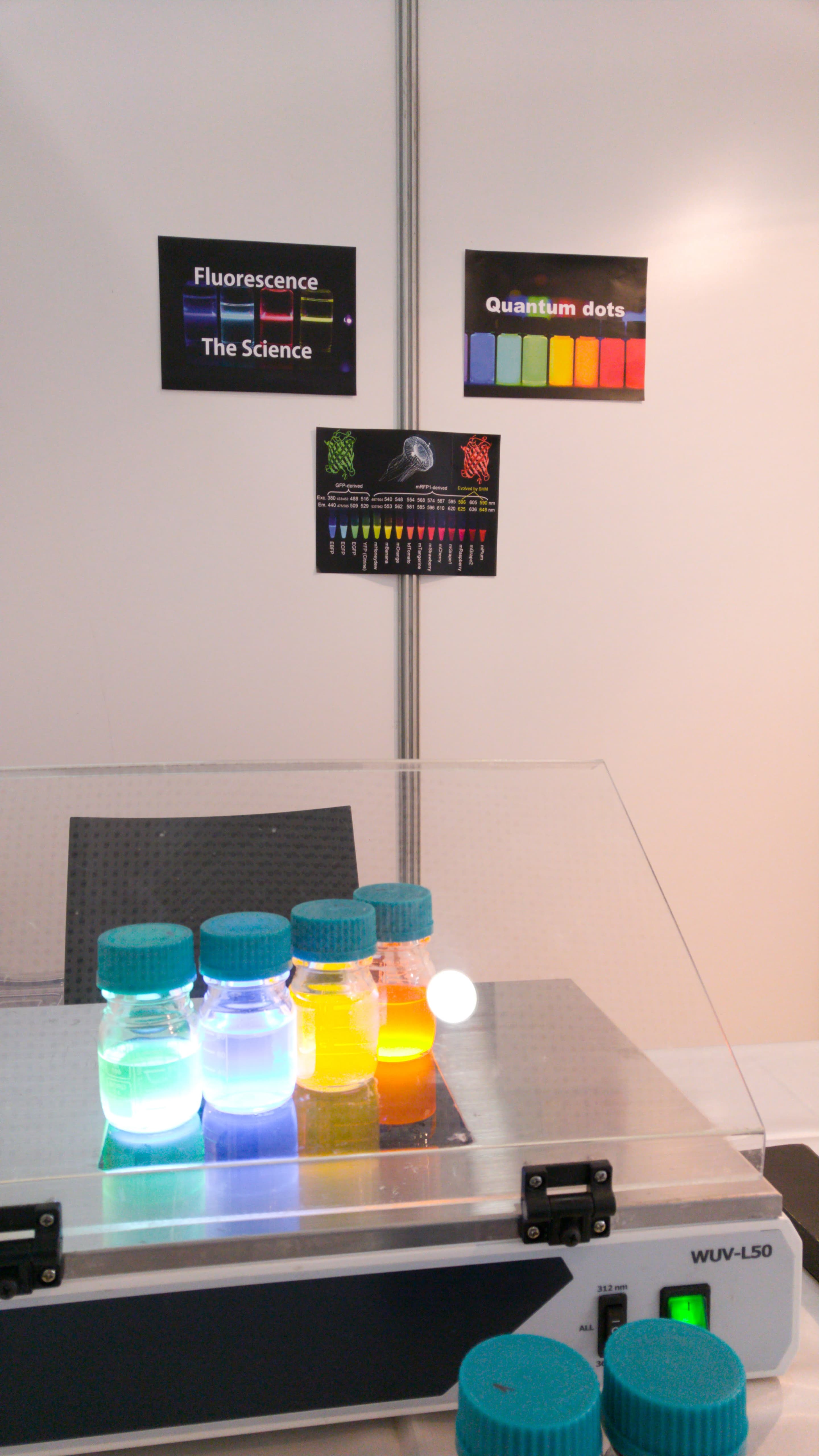 Fluorescence demonstration showing colorful glowing samples under UV light
