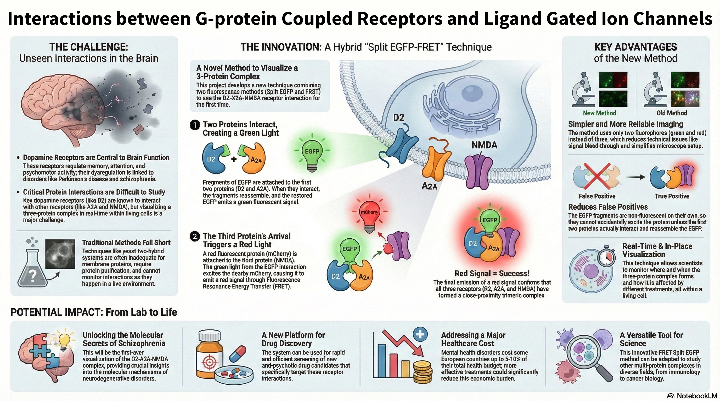 Infographic summarizing GPCR and ligand-gated ion channel interactions