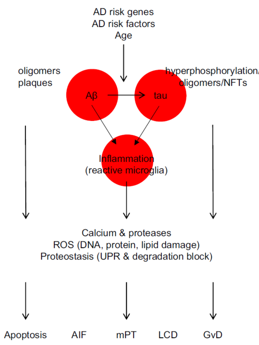 Figure 1: SPOCK1 in Alzheimer's Disease