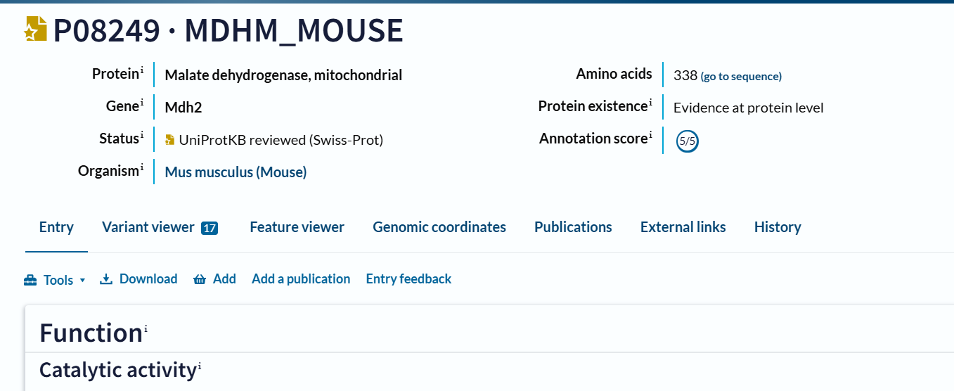 Malate dehydrogenase entry